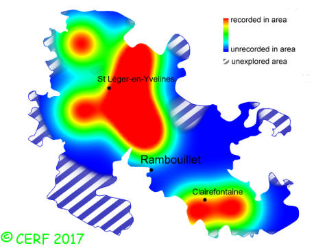 here should be the distribution map of Leccinum variicolor in the forest of Rambouillet