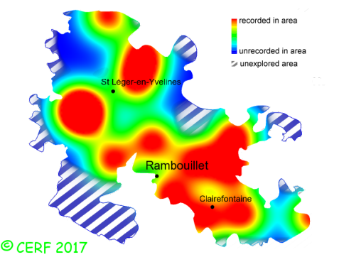 here should be the distribution map of Marasmiellus ramealis in the forest of Rambouillet