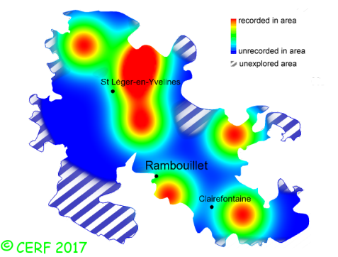 here should be the distribution map of Bovista plumbea in the forest of Rambouillet