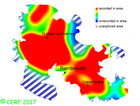 here should be the distribution map of Hypholoma fasciculare in the forest of Rambouillet